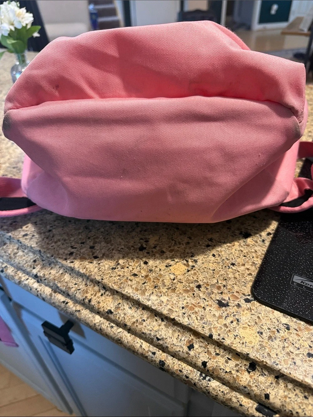 Jordan Girls/ Women's Pink Backpack great for school !